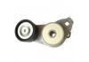 Tension Roller:5010550335，3979980，8149879
