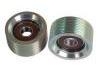 Tension Roller:20491753P