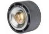 Idler Pulley:2129402，2089431，1860734